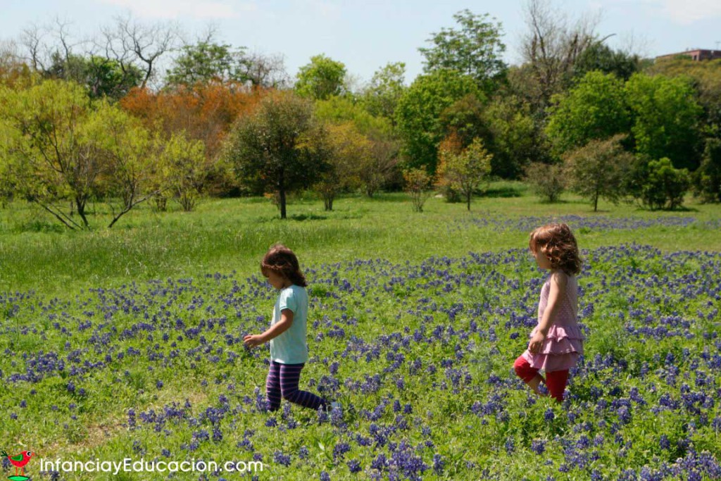 Infancia, Educación y Naturaleza